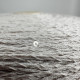 Хлопок COTTON Paillettes, Manifatture SESIA (св.тауп)